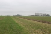 Boulevard rural